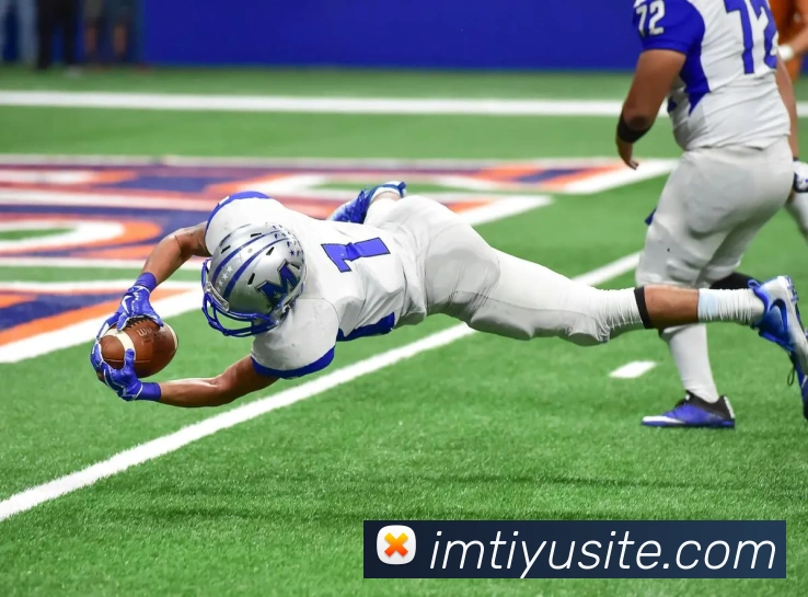 IM体育平台生态图