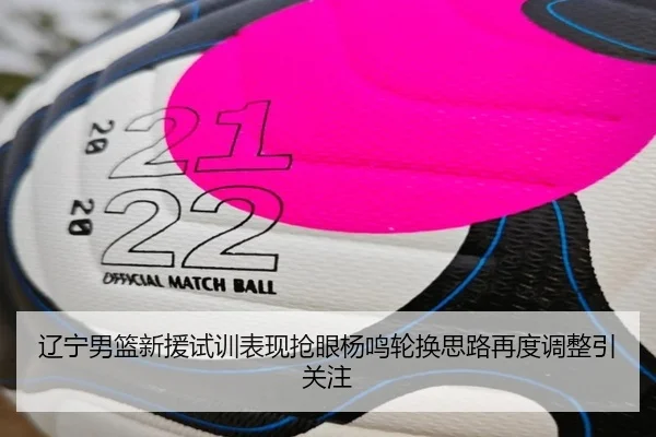 辽宁男篮新援试训表现抢眼杨鸣轮换思路再度调整引关注（IMSPORTS）